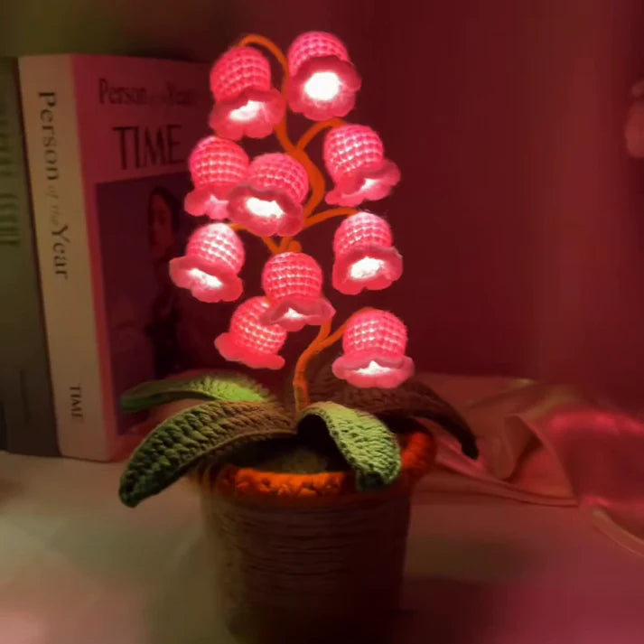 Flores eternas LilyGlow